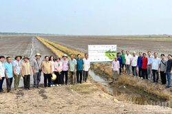 Tăng trưởng kinh tế cần đi cùng an ninh sinh thái và sức khỏe cộng đồng