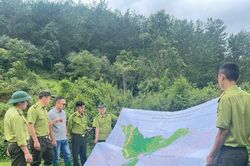 Gỡ điểm nghẽn thể chế trong quản trị rừng
