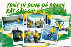 'Đối với người Brazil, mỗi trận đấu giống như một chuyến tàu lượn của cảm xúc'