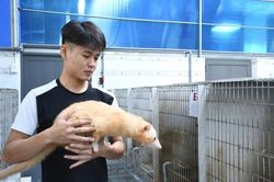 Khám phá trang trại nuôi chồn hương đặc biệt ở TP Đồng Nai