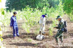 Sư đoàn 968 sử dụng thiết bị radar xuyên đất tìm kiếm 2 mộ liệt sĩ tập thể trên địa bàn tỉnh Quảng Trị