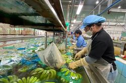 Làm chủ công nghệ để nâng cao giá trị nông sản