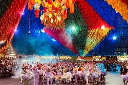 Festa Junina và sắc màu văn hóa của Brazil
