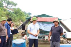 Mực nước sông Đà giảm đột ngột, hơn 73 tấn cá chết