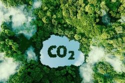 Sàn giao dịch carbon trong nước sẵn sàng vận hành từ ngày 29/6