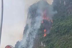 Sét đánh gây cháy rừng trong đêm ở Ninh Bình