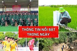 Nghệ An: Th&ocirc;ng tin nổi bật ng&agrave;y 28/6