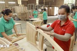 Phát triển lâm sản ngoài gỗ thành ngành hàng chủ lực