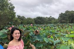 Khám phá rừng tràm Trà Sư - bản giao hưởng xanh giữa miền Tây mùa nước nổi