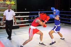 Gia Lai c&oacute; tiềm năng lớn về bộ m&ocirc;n Boxing
