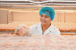 Phát huy vai trò tiên phong của thanh niên trong kỷ nguyên mới