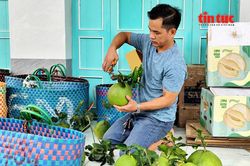 Nông sản Việt trước bước ngoặt chất lượng - Bài 1: Từ lợi thế sản lượng đến áp lực tiêu chuẩn