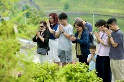 Ba thế hệ cùng tri ân tổ tiên ngày Gia đình Việt Nam
