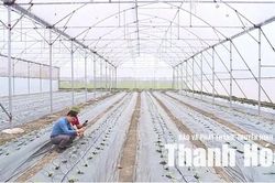 Công nghệ nâng tầm giá trị nông sản