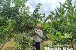 Cẩm Tân phát triển kinh tế, nâng cao thu nhập cho người dân