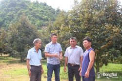 Phủ xanh vùng đất ven chân núi Ðỏ