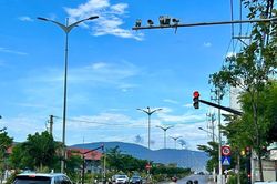 Gia Lai: Hơn 8.600 trường hợp vi phạm giao th&ocirc;ng được ph&aacute;t hiện qua hệ thống camera 'phạt nguội'