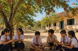 Ngăn ký ức: Me keo thương nhớ