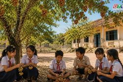 Ngăn ký ức: Me keo thương nhớ