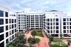 Tập trung thực hiện đồng bộ các giải pháp sớm đưa Ninh Bình trở thành thành phố trực thuộc Trung ương