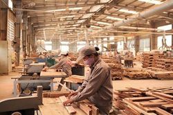 Dữ liệu quyết định đơn hàng ngành gỗ