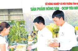 Khuyến công tạo động lực mới cho công nghiệp nông thôn Ninh Bình