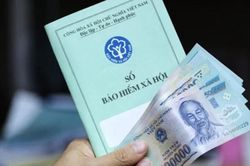 Người l&agrave;m tự do, thu nhập cao sắp được tự mua th&ecirc;m lương hưu