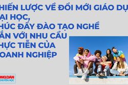 Chiến lược về đổi mới giáo dục đại học, thúc đẩy đào tạo nghề gắn với nhu cầu thực tiễn của doanh nghiệp