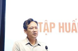 Tập huấn triển khai Luật Phục hồi, phá sản cho Tòa án các cấp