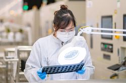 Đề xuất 'Đạo luật CHIPS ASEAN': Cơ hội hình thành chuỗi giá trị bán dẫn khu vực
