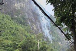 Sét đánh gây cháy rừng phòng hộ ở Ninh Bình, hơn 200 người căng mình dập lửa