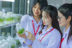 Chi tiết danh mục 111 ngành học được cấp học bổng mới nhất