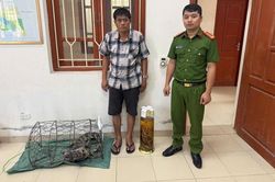Ninh Bình: Khởi tố đối tượng vi phạm quy định về bảo vệ động vật nguy cấp, quý hiếm