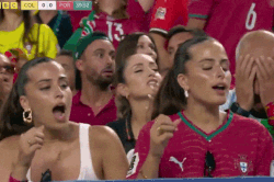 Danh tính cặp song sinh gây bão trên khán đài World Cup