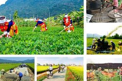 Giao kế hoạch đầu tư công vốn ngân sách trung ương cho các bộ, địa phương thực hiện Chương trình MTQG