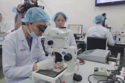 Xây dựng đội ngũ nhà khoa học trình độ cao
