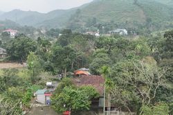 Hành trình tìm lại ký ức văn hóa