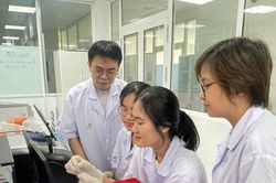 Nghệ trắng và triển vọng hỗ trợ điều trị ung thư dạ dày