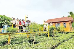 Du lịch xanh vì sự phát triển bền vững
