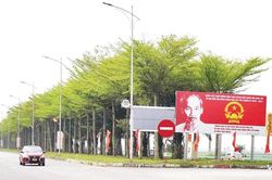 Phát huy hiệu quả từ thực tiễn