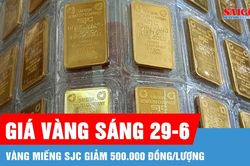 Sáng 29-6, giá vàng miếng SJC giảm 500.000 đồng/lượng