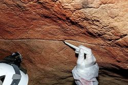 Phát hiện ADN người cổ đại trên vách hang động
