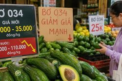 Bơ 034 rớt giá còn 5.000 đồng/kg, nhà vườn thấp thỏm giữa vụ thu hoạch