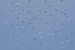 Hàn Quốc dàn pháo tự động đối phó với đàn UAV, kết quả không như kỳ vọng