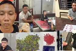 Ninh B&igrave;nh triệt ph&aacute; chuy&ecirc;n &aacute;n ma t&uacute;y lớn, bắt giữ 94 đối tượng