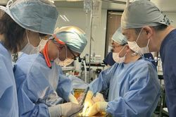 Nhật Bản tiến gần thử nghiệm ghép thận lợn cho người từ năm 2028, mở hy vọng mới cho bệnh nhân suy thận