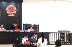 Vụ án lạm dụng tín nhiệm chiếm đoạt tài sản tại Đà Nẵng: Tòa trả hồ sơ, yêu cầu điều tra bổ sung
