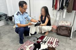 Gia Lai ki&ecirc;n quyết xử l&yacute; h&agrave;nh vi x&acirc;m phạm quyền sở hữu tr&iacute; tuệ