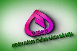 Thủ tướng bổ nhiệm Tổng Giám đốc Ngân hàng Chính sách xã hội