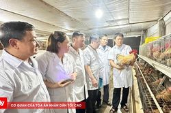 Đừng để đến khi mất thương hiệu mới nghĩ đến sở hữu tr&iacute; tuệ